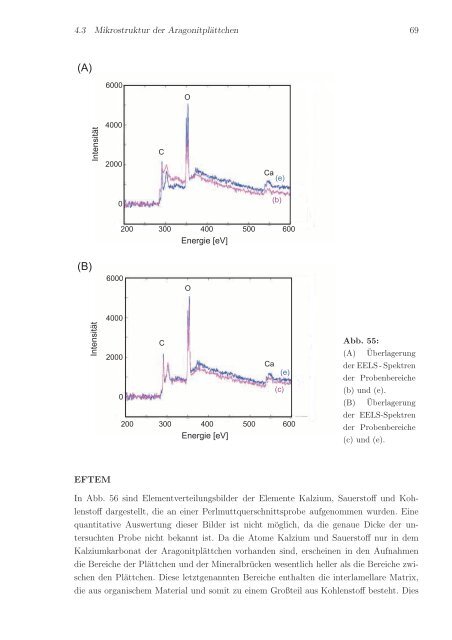 Elektronenmikroskopische Untersuchungen des Polymer/Mineral ...