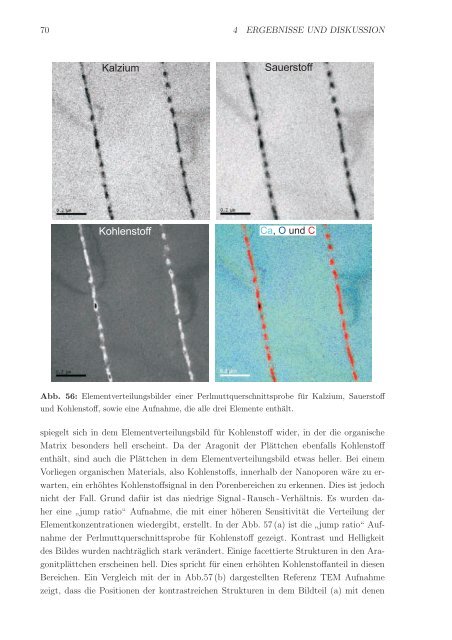 Elektronenmikroskopische Untersuchungen des Polymer/Mineral ...