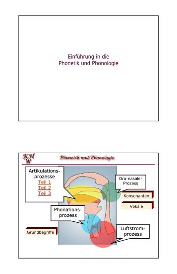 Einführung in die Phonetik und Phonologie