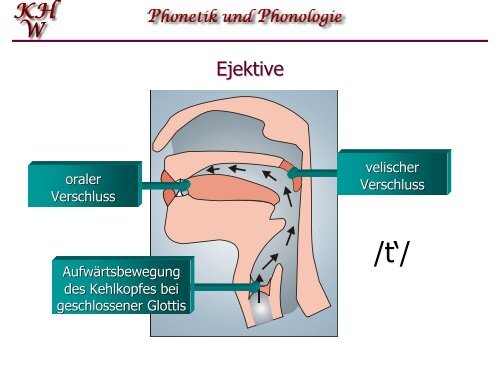 Phonetik und Phonologie 4