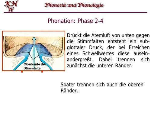Phonetik und Phonologie 5