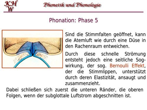 Phonetik und Phonologie 5