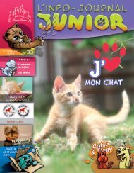 MON CHAT - Site Junior - Fondation Brigitte Bardot