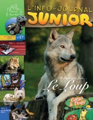 Westie - Site Junior - Fondation Brigitte Bardot