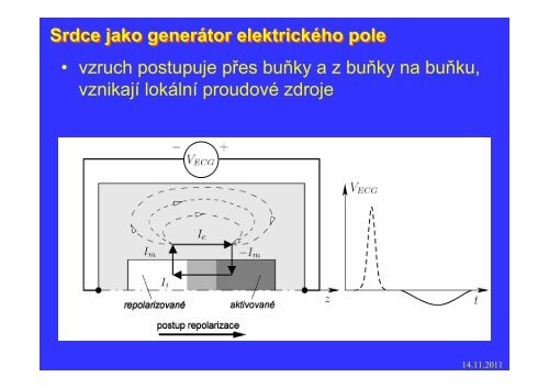 Měření elektrického pole srdce - FBMI