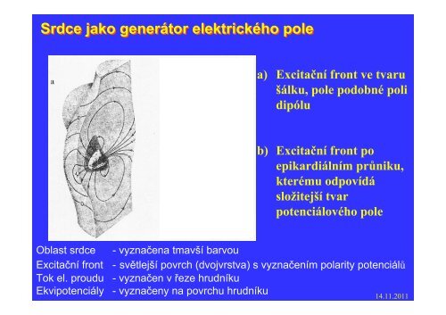 Měření elektrického pole srdce - FBMI