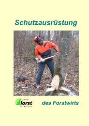 Infobroschüre Schutzausrüstung 2002 - Forstliches Bildungszentrum ...