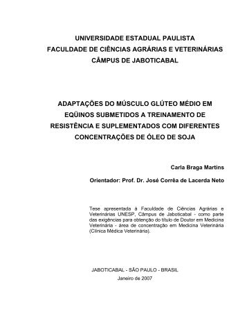 visualizar - Unesp