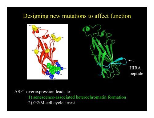 Methods for Protein Structure Prediction - Fox Chase Cancer Center