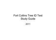 Fort Collins Tree ID Study Guide [Compatibility Mode]