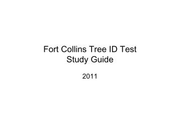 Fort Collins Tree ID Study Guide [Compatibility Mode]