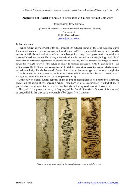 Application of Fractal Dimension in Evaluation of Cranial Suture ...