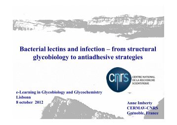 Bacterial lectins and infection – from structural glycobiology to ...