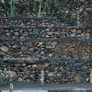 Jardín de Cactus II - Fundación César Manrique