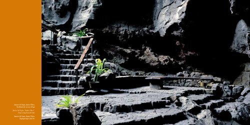 Jameos del Agua - Fundación César Manrique