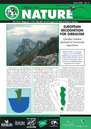 No.12 - Gibraltar Ornithological & Natural History Society