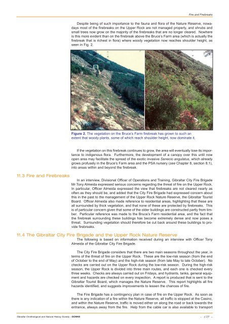 Upper Rock Nature Reserve: A Management and Action Plan
