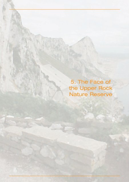 Upper Rock Nature Reserve: A Management and Action Plan