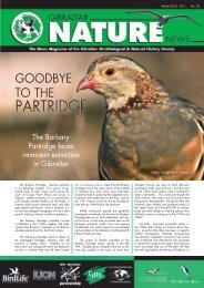 No. 20 - Gibraltar Ornithological & Natural History Society