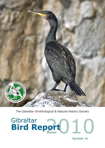 2010 (No 10) - Gibraltar Ornithological & Natural History Society