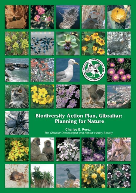 Available as a PDF download - Gibraltar Ornithological & Natural ...