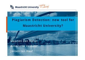 Thesis finance maastricht university