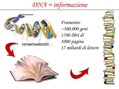 OGM: mostri nel piatto o risorsa per il futuro? - INFN Sezione di Ferrara