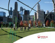 Rapport d'activités 2009 - Veolia Finance - Veolia Environnement