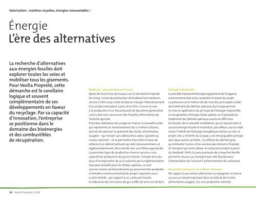 Rapport d'activités 2009 - Veolia Finance - Veolia Environnement