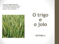 O trigo e o joio