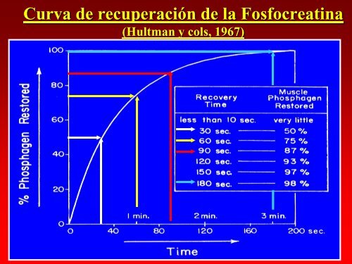 7 Sistema ATP PC en Natacion