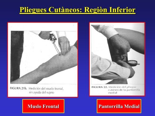 15 Introduccion Antropometria Cineantropometria