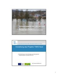 Vorstellung des Projekts TIMIS flood - Feder