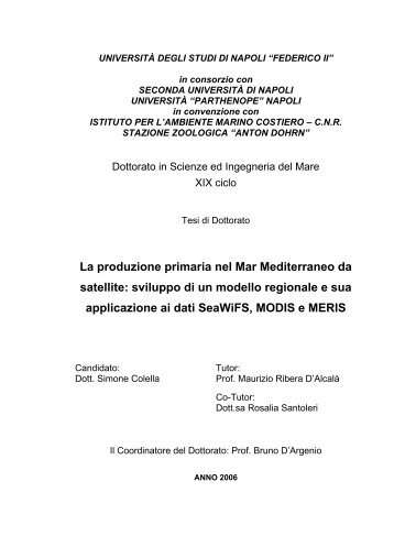 La produzione primaria nel Mar Mediterraneo da satellite - FedOA ...