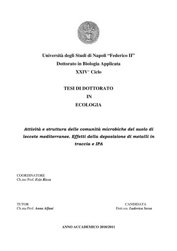 Tesi Dottorato Sessa - FedOA - Università degli Studi di Napoli ...