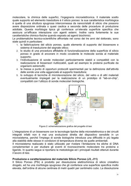 PDF (tesi dottorato ROTIROTI) - FedOA - Università degli Studi di ...