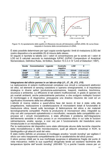 PDF (tesi dottorato ROTIROTI) - FedOA - Università degli Studi di ...