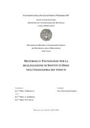 Materiali e Tecnologie per la realizzazione di sostituti - FedOA ...