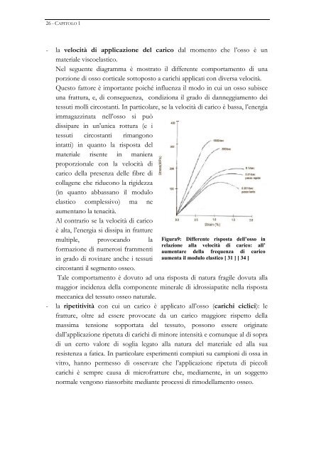 Materiali e Tecnologie per la realizzazione di sostituti - FedOA ...