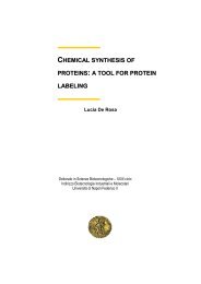chemical synthesis of proteins : a tool for protein labeling - FedOA