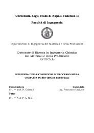 Capitolo 1 Introduzione - FedOA - Università degli Studi di Napoli ...