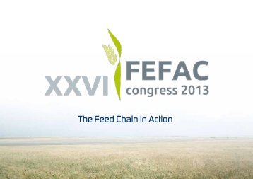 The Feed Chain in Action (2013) (PDF) - Fefac