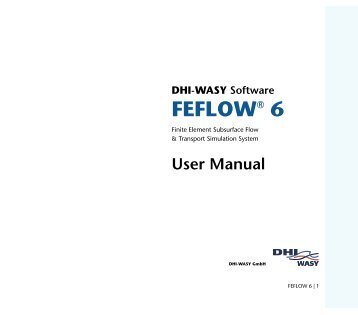 DHIJWASv Software FEFLOW 6