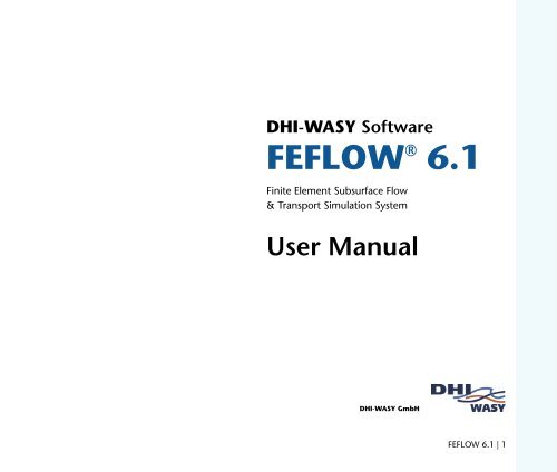 DHIJWASv Software FEFLOW 6.1