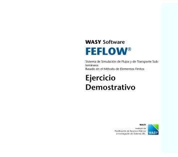 Ejercicio Demostrativo - FEFlow