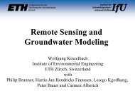 Remote Sensing and Water management - FEFlow