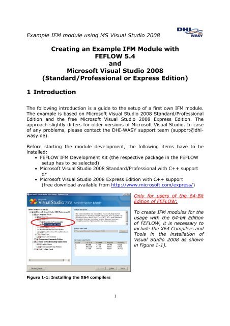 Creating an Example IFM Module with FEFLOW 5.4 and Microsoft ...