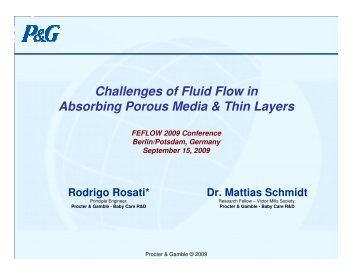 Challenges of Fluid Flow in Absorbing Porous Media ... - FEFlow