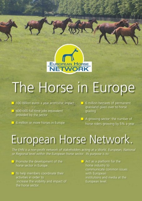The Horse in Europe