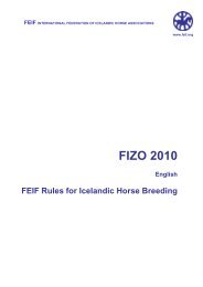 FIZO 2010 - FEIFFengur